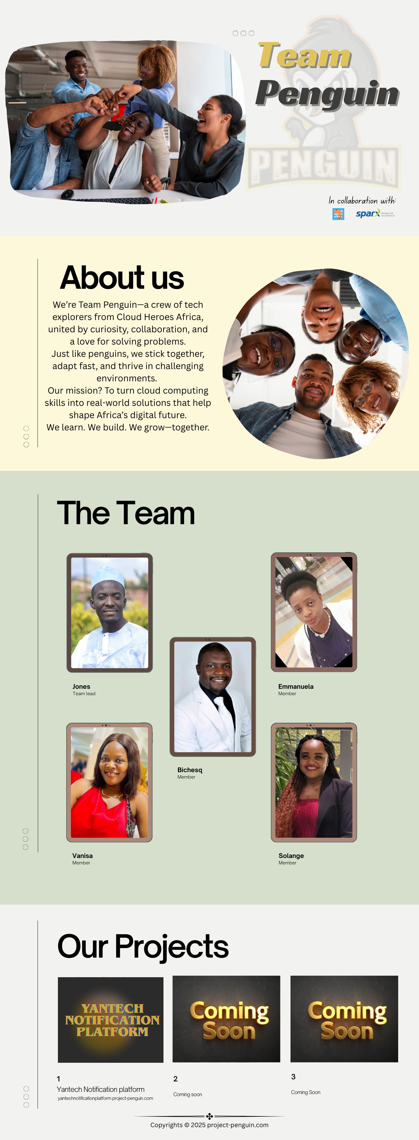website image